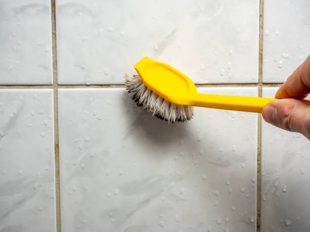 Best Commercial Mold Removal  in Conshohocken, PA